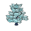 Crystal Tree plant